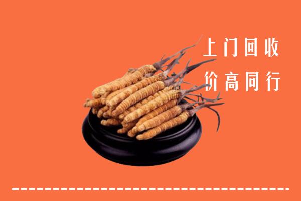 高价求购：廊坊回收散虫草